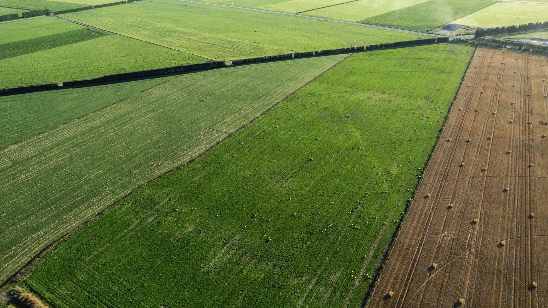 Aerial view of Canterbury plains farmland