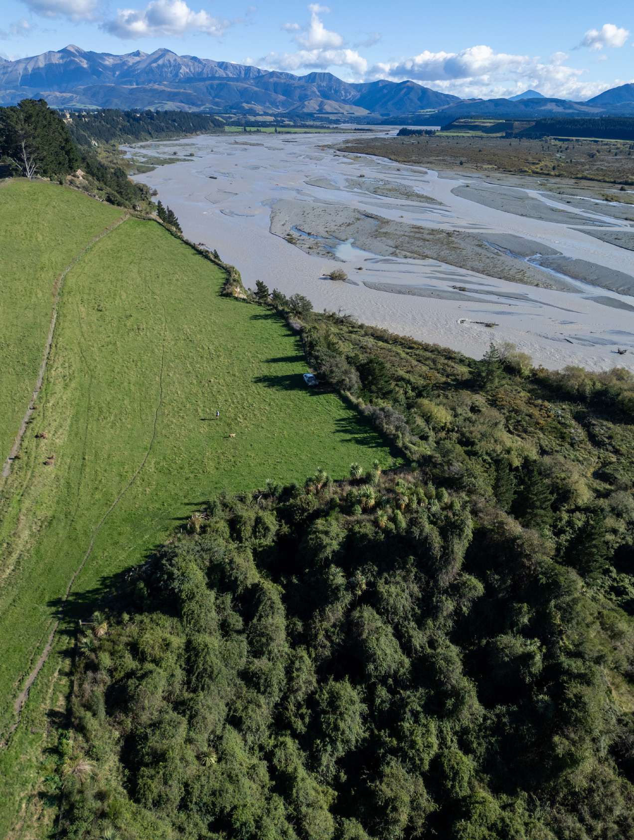 Canterbury braided river with native bush and farmland